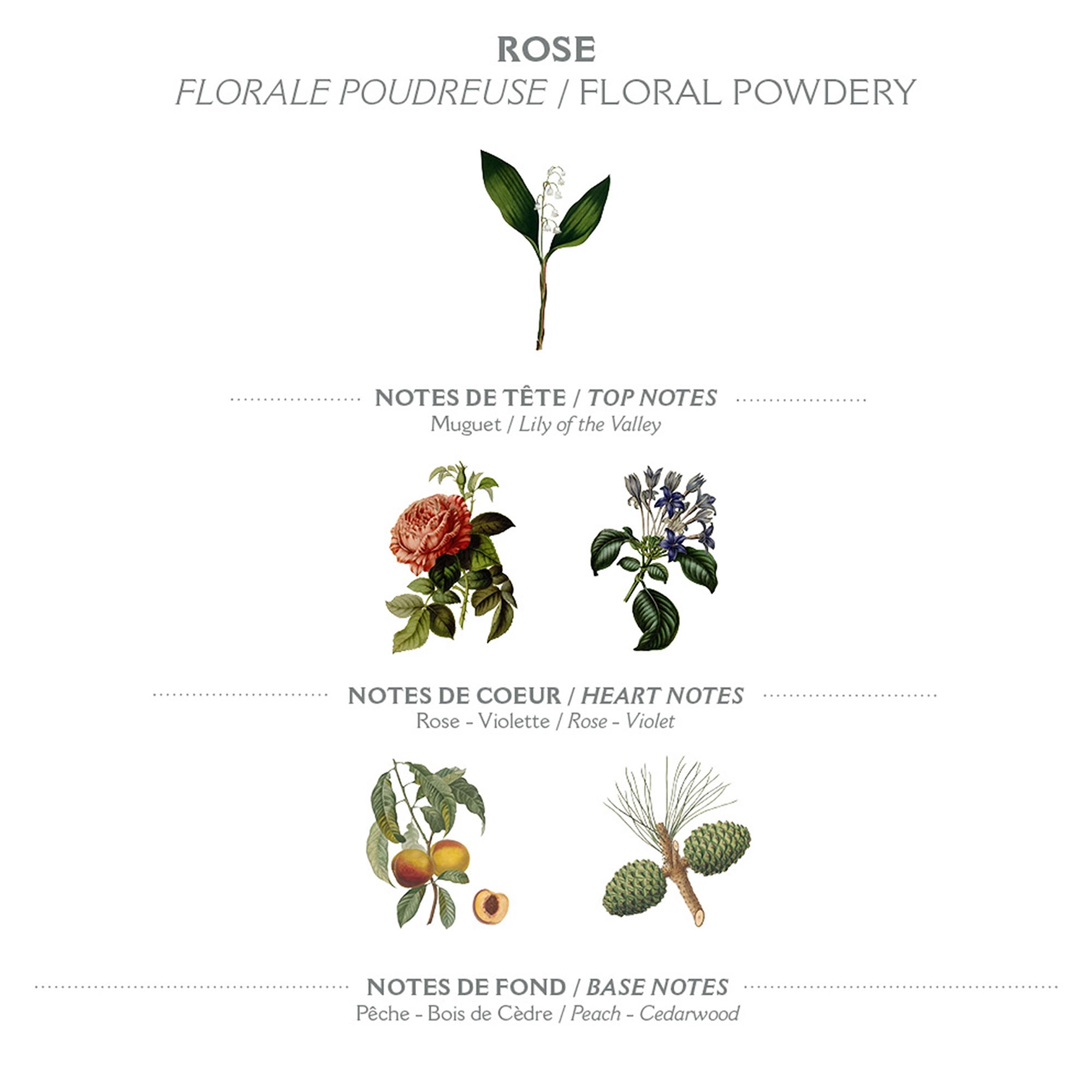 Eau de toilette Roll On 10 ml - Rose envoûtante – Image 4